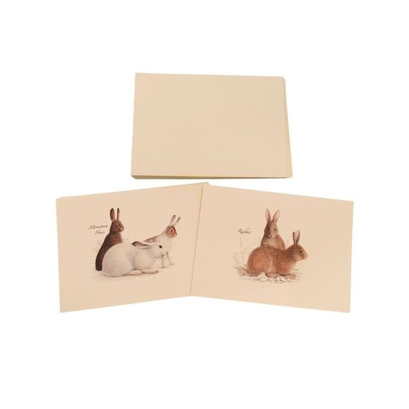 Earth Sky + Water Rabbit & Hare Assortment Notecard Set 8 Blank Cards with Envel - Picture 2 of 7